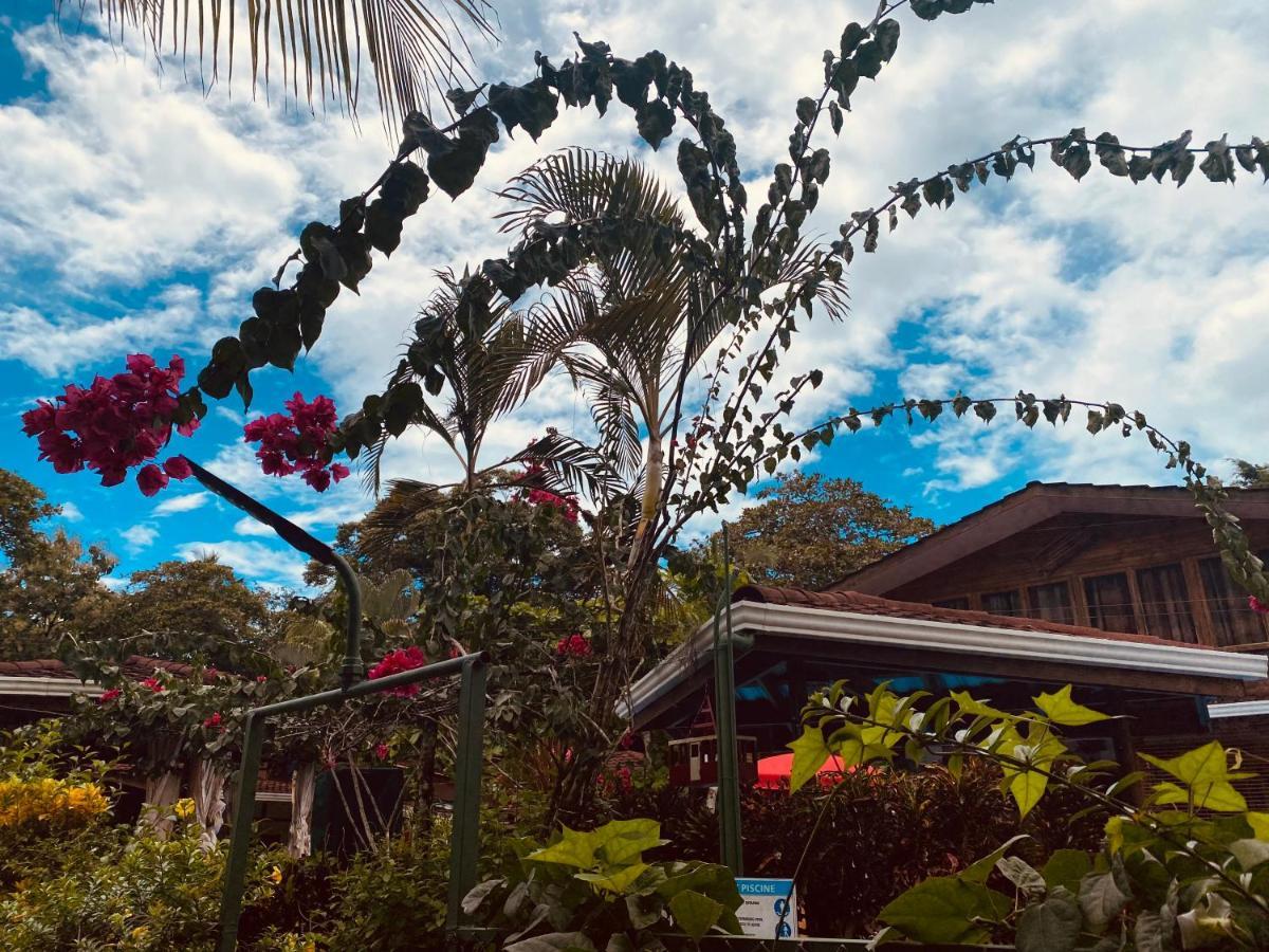 Casa Aba Matapalo Hotel Kültér fotó